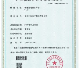 项目证书1